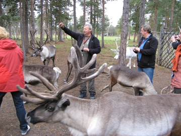 14.09.: Besuch auf einer Rentierfarm in finnisch Lappland