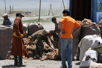 4. Juli 2008: In Altai