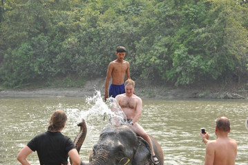 26.04.2009: Chitwan - bathing with elephants