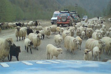 10. April 2008: Fahrt durch Transsilvanien